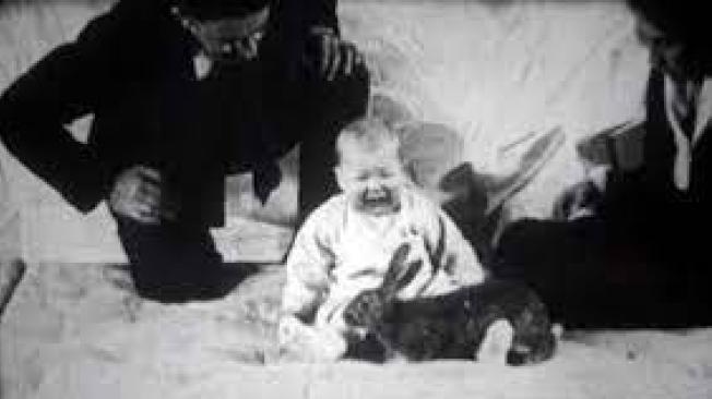 Albert fue un niño de ocho meses, quien duró un año en los experimentos de Jhon B. Watson.
