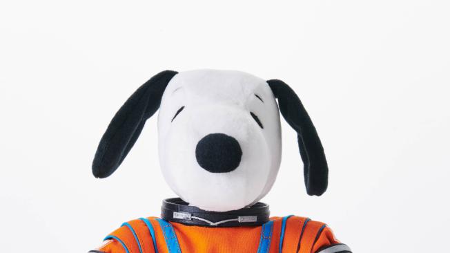 Snoopy como indicador de gravedad cero.