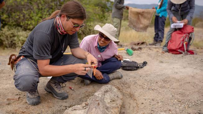 Javier Luque (Universidad de Yale, izquierda) y Catalina Suárez (Servicio Geológico de Colombia, centro) excavando fósiles en los Andes colombianos.