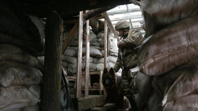 Un militar de las Fuerzas Militares de Ucrania y su perro ingresan a un refugio en primera línea.