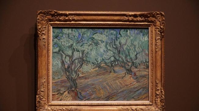 La exposición en el Museo Van Gogh de Ámsterdam muestra por primera vez juntos las pinturas y dibujos de olivares que pintó en Francia.