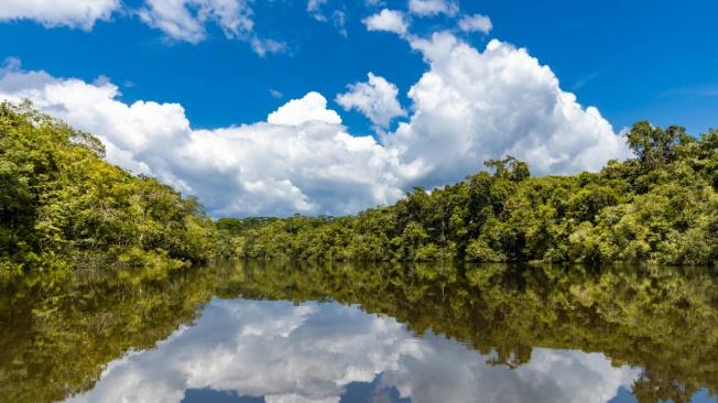 En Colombia la capacidad de los ecosistemas para absorber CO2 ofrece buenas posibilidad para bonos de carbono.