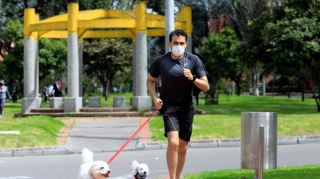 La actividad física es fundamental para el bienestar de los perros.