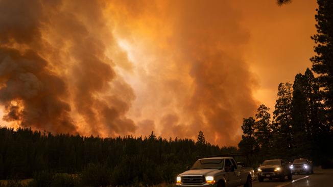 Incendio forestal en California por cuenta de la ola de calor.