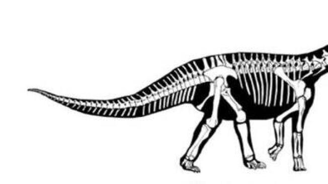 Patagosaurus