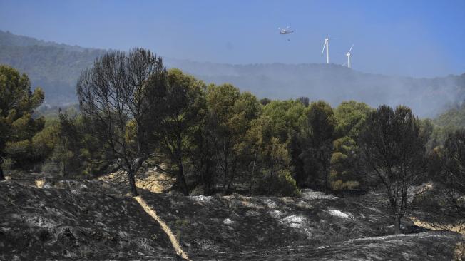 Devastación tras incendio en parque natural de España.