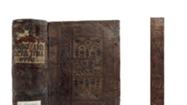 Detalle de antiguas encuadernaciones de libros de la Biblioteca Nacional de Colombia.