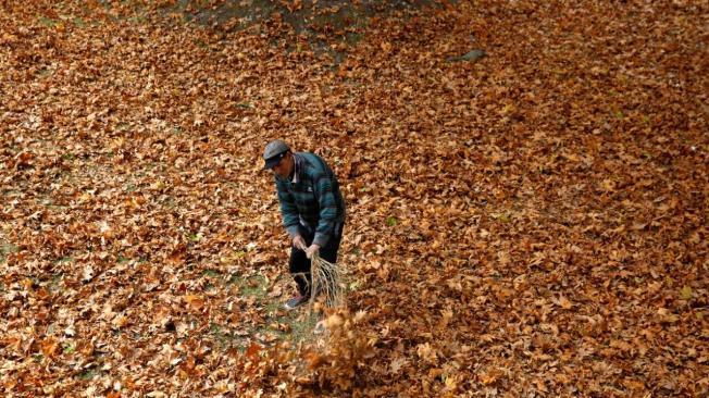 El otoño, conocido como estación dorada, tiene lugar de septiembre a noviembre.