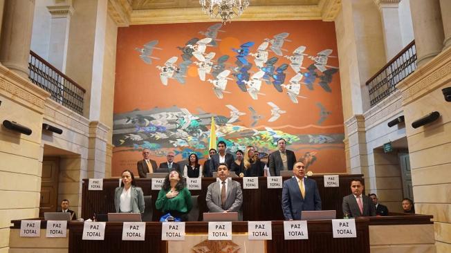 Debate de la paz total en la Cámara de representantes.