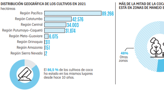 Informe Simci: razones que explicarían incremento de cultivos de coca