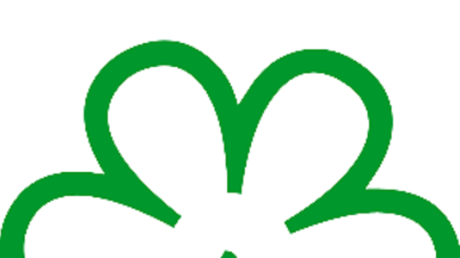 Logo de la Estrella verde, premio a la gastronomía sostenible de la guía Michelin.