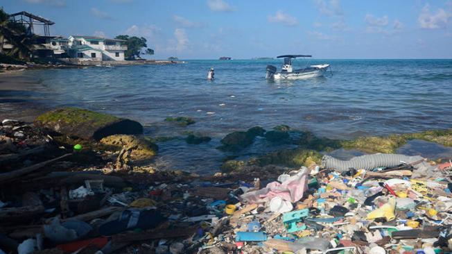 Zonas como San Andrés e Islas del Rosario, tienen una gran contaminación a causa de actividades como el turismo, que deja grandes cantidades de residuos de plástico.