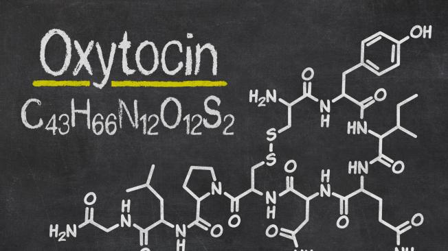 La producción de oxitocina impacta en la interacción social.
