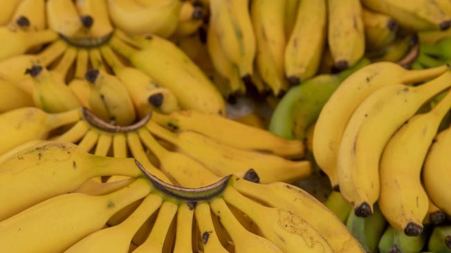 El banano es, en realidad, un carbohidrato complejo.
