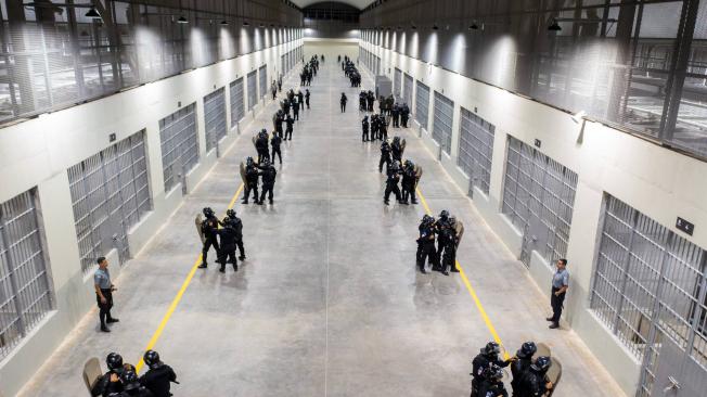 El viceministro de Justicia y Seguridad Pública, Osiris Luna, indicó que los reclusos trabajarán en el centro de reclusión