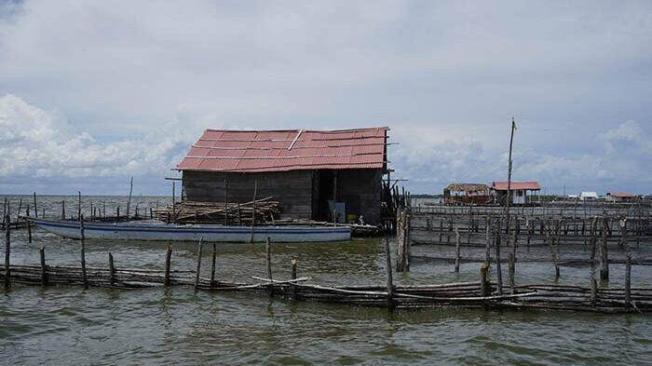 Los criaderos ilegales de peces en la Ciénaga Grande fueron denunciados por la comunidad.