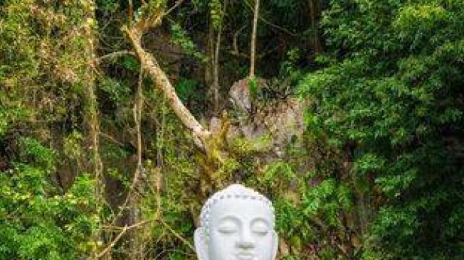 Para Buda, el sufrimiento tiene su origen y su fin en la mente humana.