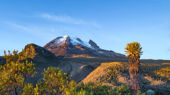 El Parque Nacional Los Nevados se ubica en la región cafetera de los Andes centrales de Colombia.