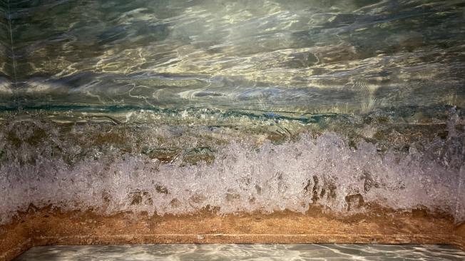 Lydia Azout –que, además, es buzo profesional– hizo una instalación con las mejores fotos que ha tomado del mar.