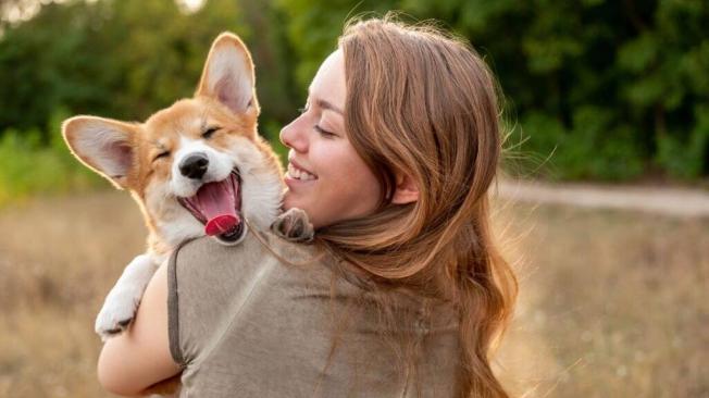 es ilegal negar un perro de servicio