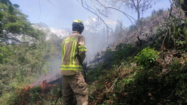 Este año se han reportado 252 incendios forestales en Cundinamarca.