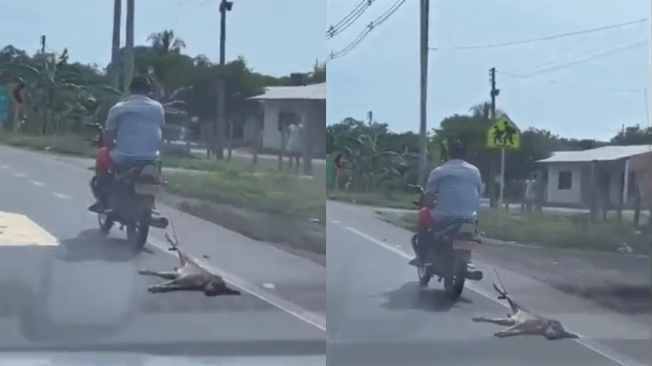 Motociclista arrastró a un perro en plena via publica en Cordoba ...