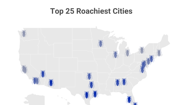 Grandes ciudades de EE. UU. lidian con plagas de cucarachas