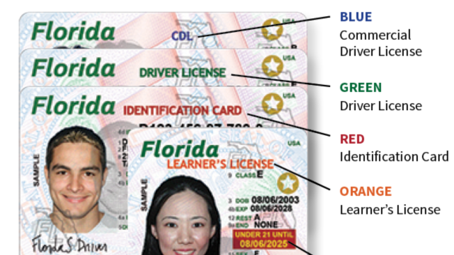 Florida: ¿cuál es el castigo para un conductor que maneje sin licencia?