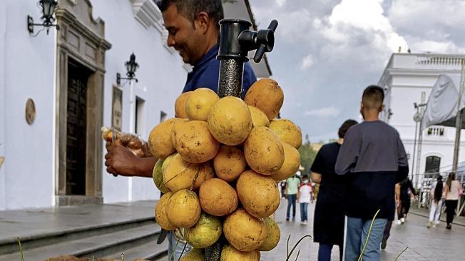 La granadilla de Quijos es una planta trepadora, prima del maracuyá y la curuba.