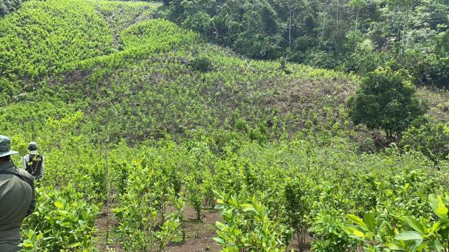 Contaminación ambiental tras procesamiento de hoja de coca en cocaína.