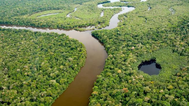 El Parque Nacional Natural Serranía de Chiribiquete se encuentra situado en la parte occidental del Escudo Guyanés  y es un gran reservorio de biodiversidad.