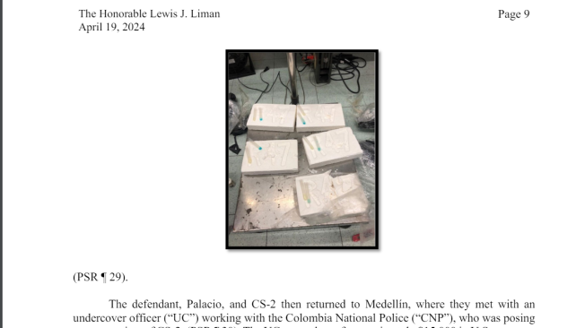 En el memorándum de sentencia de la Fiscalía norteamericana se incluye una foto de la muestra de 5 kilos de cocaína que Álvaro Córdoba ayudó a conseguir.