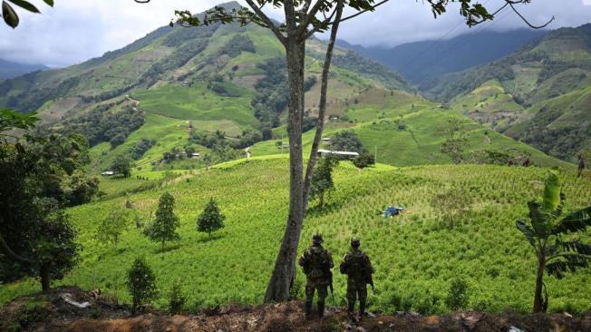 La desmovilización de las viejas FARC dejó un vacío de poder en el mercado de la coca.