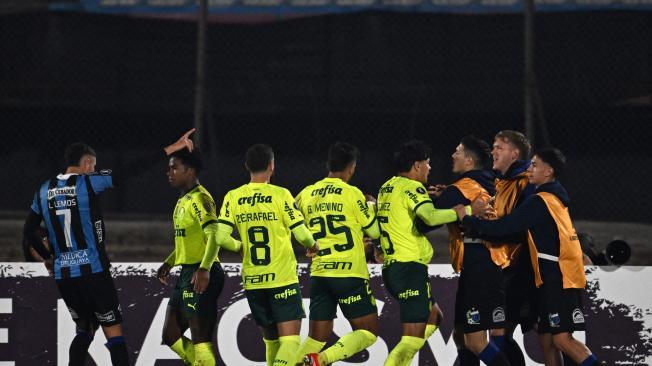 Endrick desata riña en partido de Palmeiras.