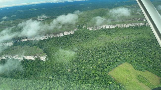 Desde el aire se puede apreciar la devastación que genera la deforestación en esta alejada zona del país.