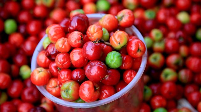 Esta es la fruta acerola