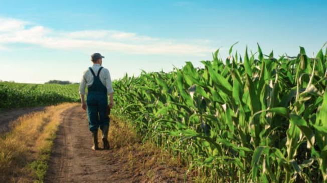 Los trabajadores de Florida verán afectados sus descansos por calor