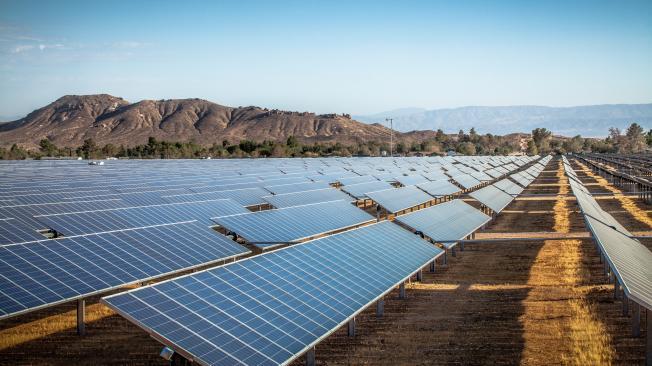 Muchos hogares en el estado utilizan paneles solares para obtener energía.