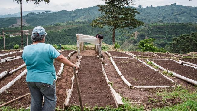 A junio de 2024, se logró consolidar un saldo de cartera de $10 billones en pequeños productores y en el propósito de avanzar hacia el cierre de brechas en los territorios.