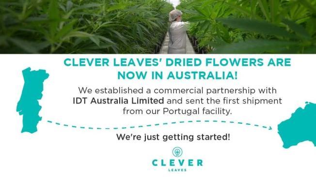 Clever Leaves en Australia.