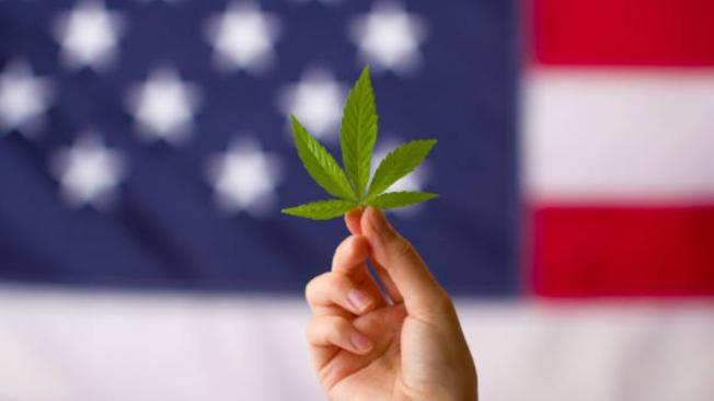 Hay diferentes posturas sobre la marihuana en Estados Unidos