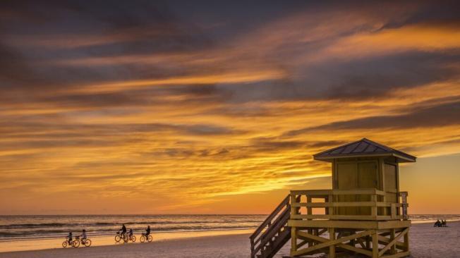 Los grandes atarcederes en Florida