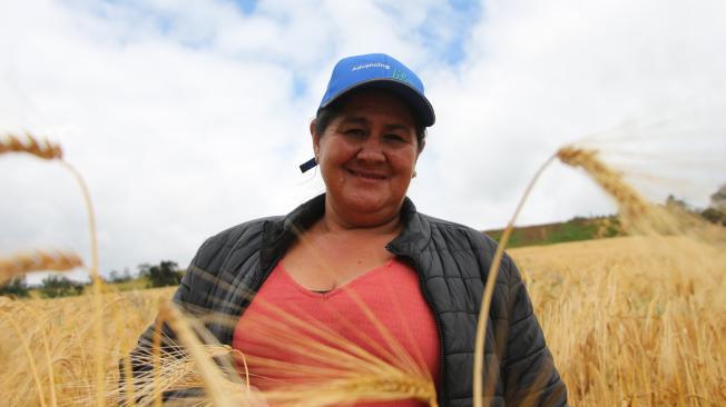 Pilar Rodríguez lidera la cosecha de 430 toneladas de papa en Toca, Boyacá