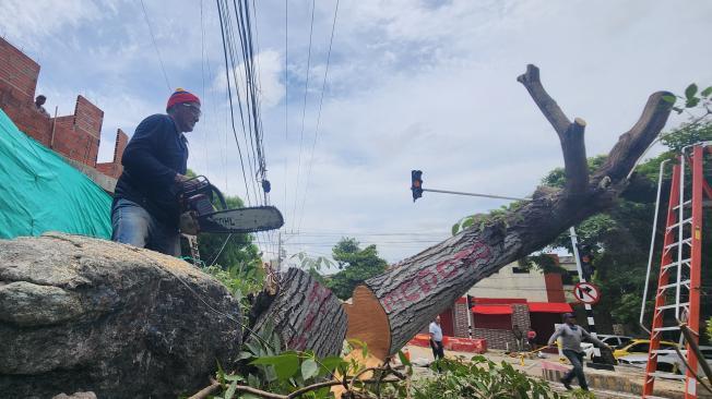 Afectaciones vendabal en Barranquilla