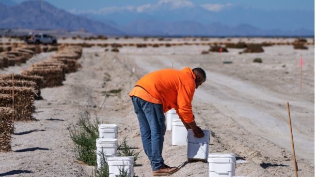 salton sea california