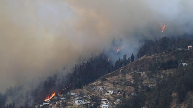 AME2164. QUITO (ECUADOR), 24/09/2024.- Fotografía de un incendio forestal este martes, en el sector de Guapulo en Quito (Ecuador). EFE/ José Jácome