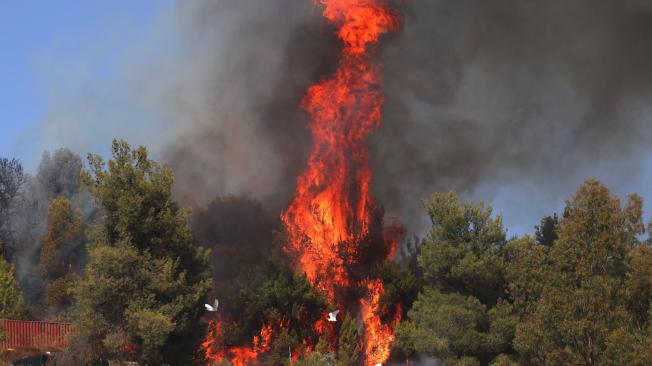 Safed (Israel), 25/09/2024.- A fire burns as a result of projectiles fired from south Lebanon near the city of Safed, northern Israel, 25 September 2024. The Israeli military said that approximately 40 projectiles were identified crossing from Lebanon into Israeli territory. Several projectiles were intercepted, and a projectile fall was identified in an assisted living facility in the area of Safed. (Líbano) EFE/EPA/ATEF SAFADI