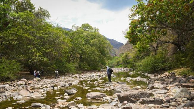 Sequía en ríos y quebradas del sur del Tolima