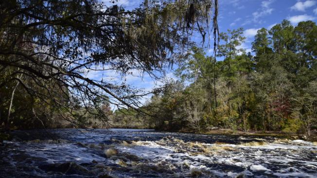 El Alapaha Rise es el manantial más grande de Estados Unidos.