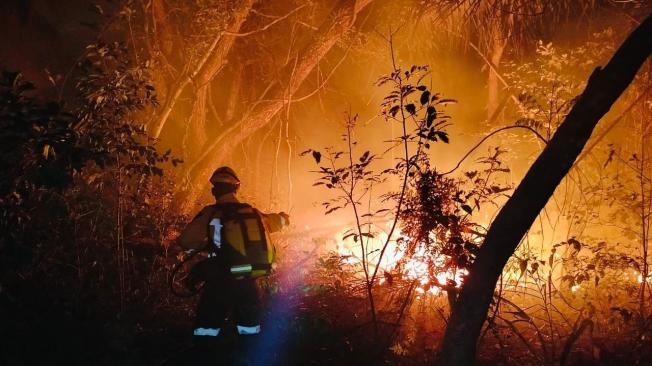 This handout picture released by the Bolivian Civil Defense shows Venezuelan firefighters fighting the wildfires in the area of San Ignacio de Velasco, Santa Cruz Department, Bolivia, on September 25, 2024. (Photo by Handout / Bolivian Civil Defense / AFP) / RESTRICTED TO EDITORIAL USE - MANDATORY CREDIT "AFP PHOTO / BOLIVIAN CIVIL DEFENSE " - NO MARKETING NO ADVERTISING CAMPAIGNS - DISTRIBUTED AS A SERVICE TO CLIENTS